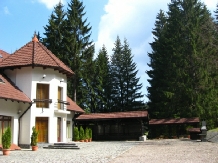 Vila Daria - accommodation in  Brasov Depression (04)