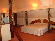 Vila Daria - accommodation in  Brasov Depression (12)