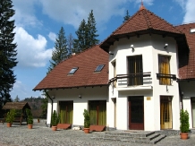 Vila Daria - accommodation in  Brasov Depression (16)