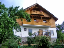 Pensiunea Cerasul - accommodation in  Slanic Prahova, Cheia (12)