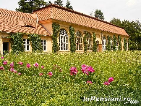 Pensiunea Poiana Avrigului - cazare Fagaras (Activitati si imprejurimi)