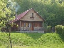 Cabana Lacrimioara - alloggio in  Fagaras e vicinanze, Sambata (01)