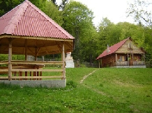 Cabana Lacrimioara - accommodation in  Fagaras and nearby, Sambata (04)