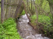 Cabana Lacrimioara - alloggio in  Fagaras e vicinanze, Sambata (11)