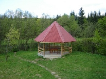 Cabana Lacrimioara - accommodation in  Fagaras and nearby, Sambata (16)