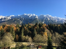 Cabana Dianthus - cazare Rucar - Bran, Piatra Craiului, Rasnov (05)