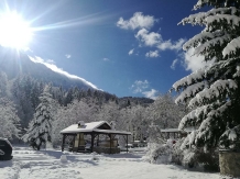 Cabana Dianthus - accommodation in  Rucar - Bran, Piatra Craiului, Rasnov (44)