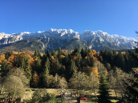 Cabana Dianthus - alloggio in  Rucar - Bran, Piatra Craiului, Rasnov (Attivit&agrave; e i dintorni)