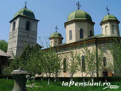 Pensiunea Georgiana - cazare Fagaras, Tara Muscelului (Activitati si imprejurimi)