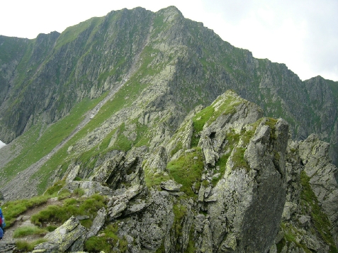 Casa Domneasca - alloggio in  Fagaras e vicinanze, Tara Muscelului (Attivit&agrave; e i dintorni)