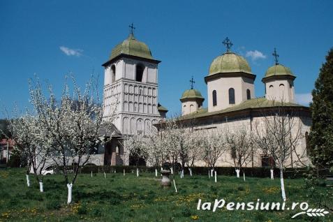 Pensiunea Matrix - accommodation in  Fagaras and nearby, Muscelului Country (Surrounding)