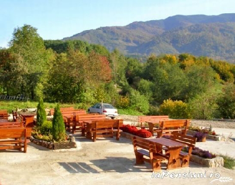 Pensiunea Danvi - accommodation in  Fagaras and nearby, Muscelului Country (Surrounding)