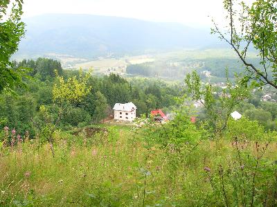 Pensiunea Elisa - accommodation in  Fagaras and nearby, Muscelului Country (Surrounding)
