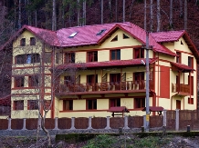 Vila Silva - accommodation in  Muscelului Country (01)