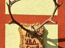 Vila Silva - accommodation in  Muscelului Country (03)