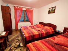 Vila Silva - accommodation in  Muscelului Country (18)