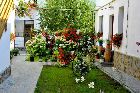 Pensiunea Ruxi - accommodation in Fagaras and nearby, Muscelului Country (Surrounding) Pensiunea Ruxi - accommodation in Fagaras and nearby, Muscelului Country (Surrounding)