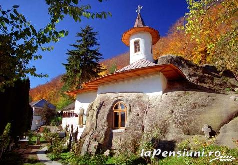 Cabana Barlogul Ursilor - accommodation in  Fagaras and nearby, Muscelului Country (Surrounding)