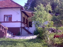 Pensiunea Ana - accommodation in  Muscelului Country (03)