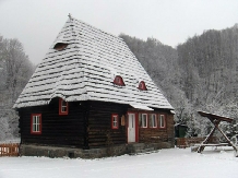 Pensiunea Iubu - accommodation in  Apuseni Mountains, Valea Draganului (02)