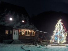 Pensiunea Iubu - accommodation in  Apuseni Mountains, Valea Draganului (16)