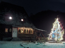 Pensiunea Iubu - alloggio in  Apuseni, Valea Draganului (16)