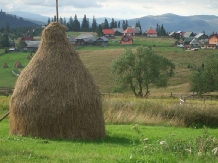 Pensiunea Doru - cazare Apuseni, Belis (11)