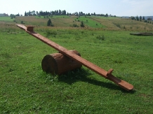 Pensiunea Doru - alloggio in  Apuseni, Belis (13)