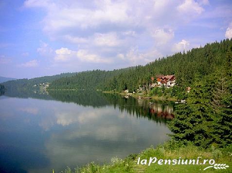 Pensiunea Printul Vlad - accommodation in  Sibiu Surroundings (Surrounding)