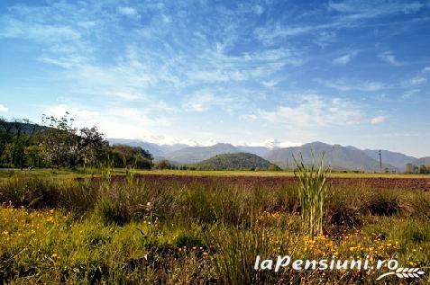 Pensiunea Sarah - accommodation in  Hateg Country (Surrounding)