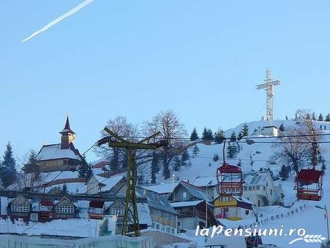 Cabana Rustic - accommodation in  Hateg Country, Straja (Surrounding)