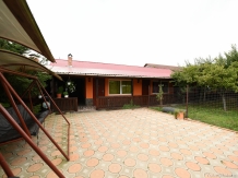 Pensiunea Belvedere - accommodation in  Hateg Country (12)