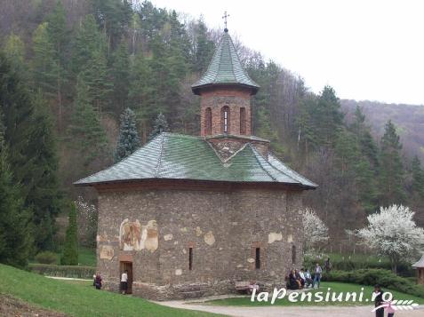 Pensiunea Belvedere - alloggio in  Tara Hategului (Attivit&agrave; e i dintorni)