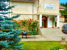 Pensiunea Ambiance - accommodation in  Ceahlau Bicaz (11)