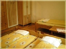 Pensiunea Sarmizegetusa - accommodation in  Hateg Country (07)