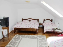 Pensiunea Paleu - accommodation in  Ceahlau Bicaz, Durau (06)