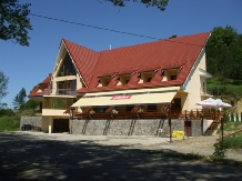 Pensiunea Lacul Stiucii - accommodation in  Transylvania (11)