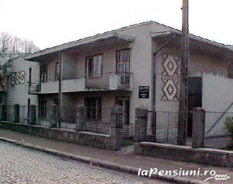 Pensiunea Irina - accommodation in  Hateg Country (Surrounding)