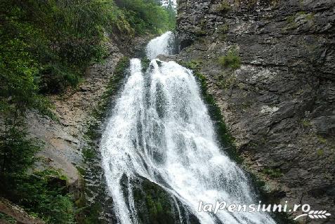 Pensiunea Casa Albastra - accommodation in  Apuseni Mountains, Belis (Surrounding)