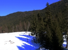 Pensiunea Corola - alloggio in  Ceahlau Bicaz (29)