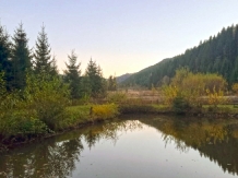 Pensiunea Corola - alloggio in  Ceahlau Bicaz (32)