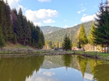 Pensiunea Corola - alloggio in  Ceahlau Bicaz (34)