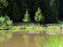 Pensiunea Corola - alloggio in  Ceahlau Bicaz (73)