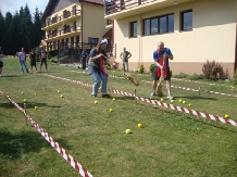 Pensiunea Ana&Irina - alloggio in  Apuseni, Belis (16)