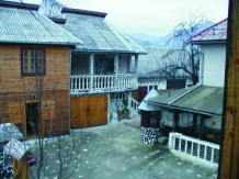 Pensiunea Trandafirul Albastru - accommodation in  Maramures Country (01)