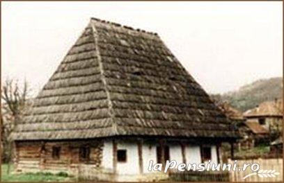 Pensiunea Trandafirul Albastru - accommodation in  Maramures Country (Surrounding)