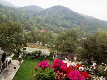Pensiunea Iulia Alexia - alloggio in  Vallata di Brasov, Valea Buzaului (10)