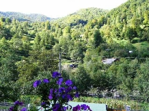 Pensiunea Iulia Alexia - accommodation in  Brasov Depression, Buzau Valley (20)