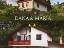 Rural accommodation at  Pensiunea Dana Maria