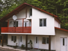 Pensiunea Dana Maria - alloggio in  Vallata di Brasov, Valea Buzaului (03)